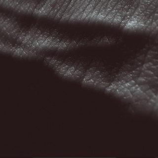 JK Flesh � 'Posthuman'