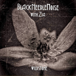 Новый трек Black Needle Noise Новый трек Black Needle Noise
